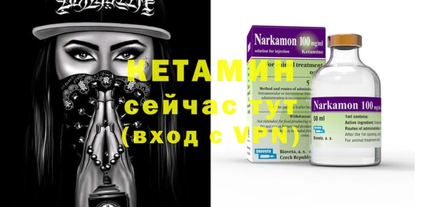 индика Богданович
