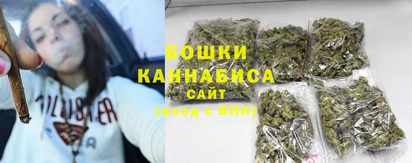 индика Богданович