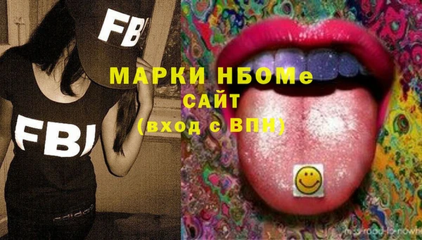 индика Богданович